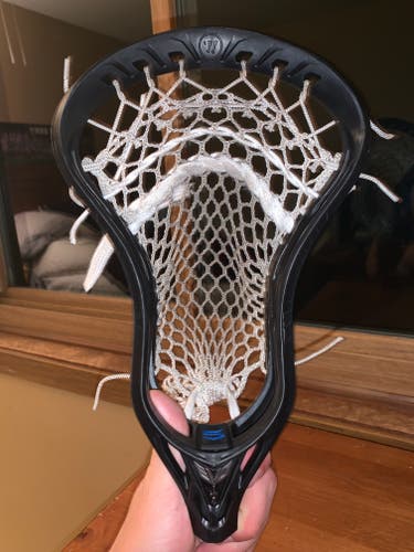 Used Warrior Evo 5 Head Strung