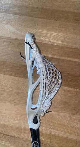LIGHTLY USED STX Stallion Omega Head