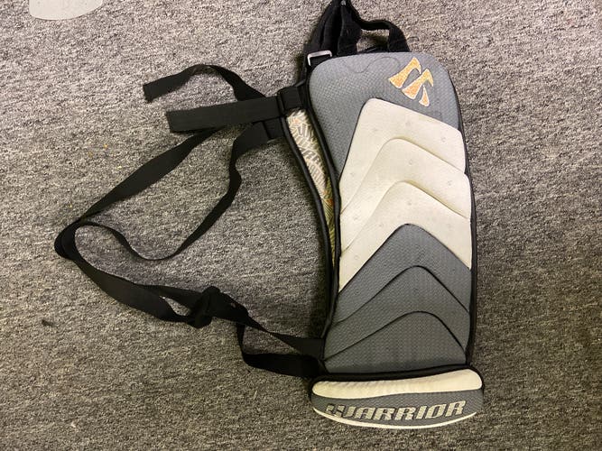 Warrior rib protector