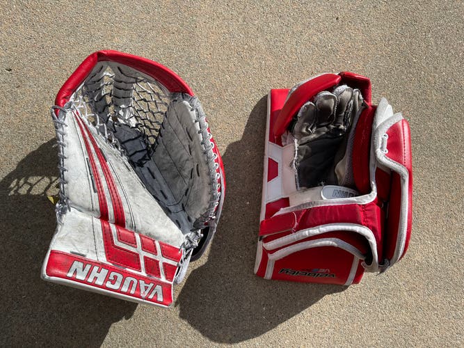 Used Regular  Velocity VE8