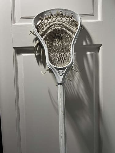 Complete Defensive Stick(Wonderboy Shaft, Tank Head)