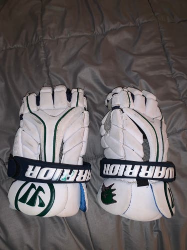 Warrior Evo Endicott College Team Issued Gloves