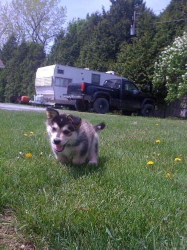 Goalie bundle for ShaneM577