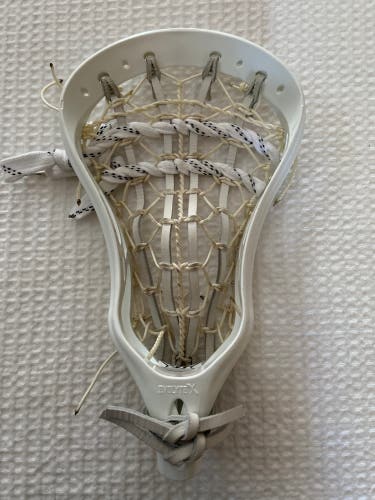 New Warrior Evolyte X Head