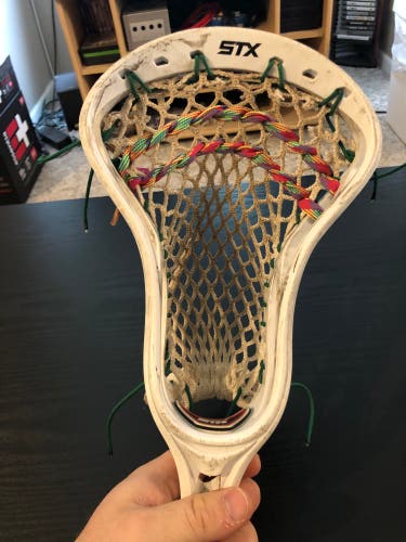 Used STX Stallion Head