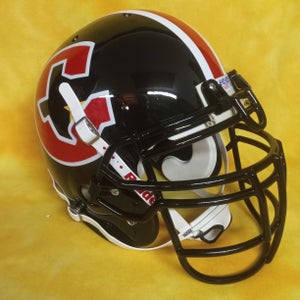 Radical!! Houston Gamblers USFL super custom throwback fullsize football helmet