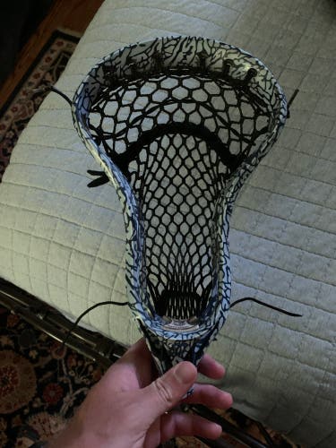Dyed Warrior Evo 4 Head