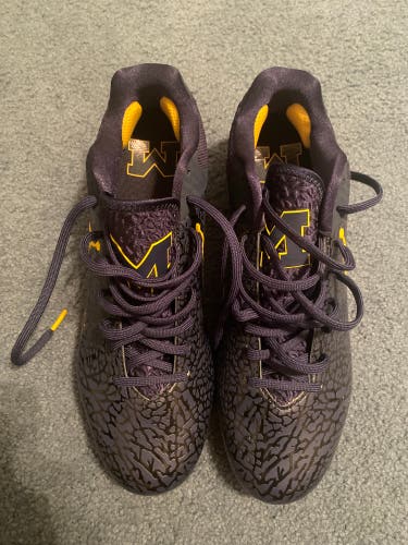 Team Issued New Michigan Air Jordan Cleats