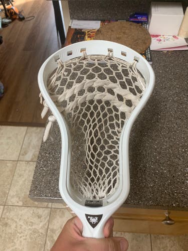 Strung DNA Head