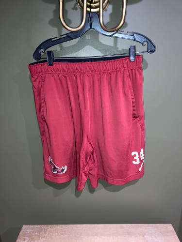 Red Used Men's Adult Large Nike Shorts
