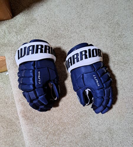 Used Avs Warrior Alpha DX Pro Gloves 14"
