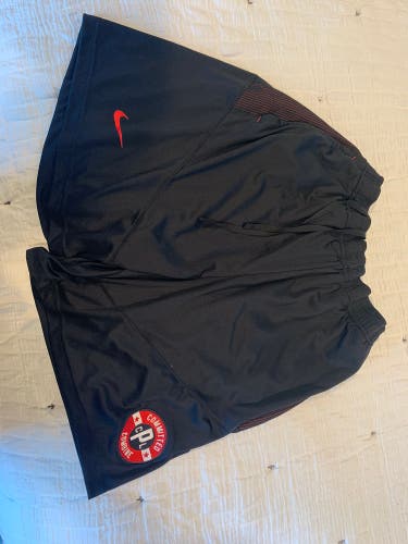 Black Adult Large Nike Shorts