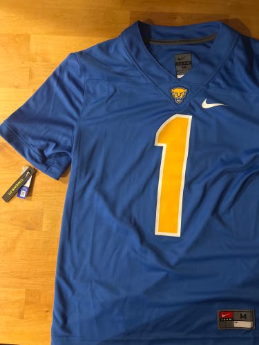 Pittsburg Football Jersey (Medium)