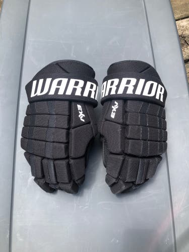 Warrior 13"  Dynasty AX3 Gloves