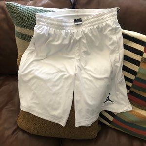 JORDAN Dri-Fit Alpha 23 Shorts (Large)