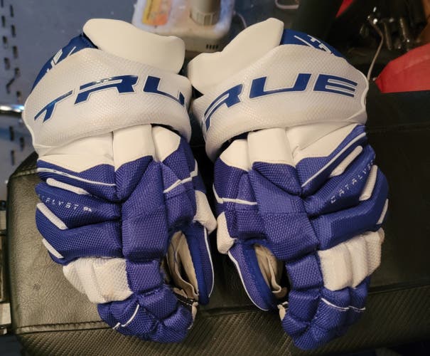 Used True Catalyst 9X Gloves 14"