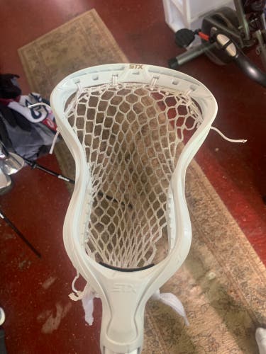 New STX Stallion Head