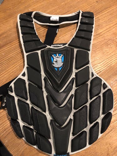 New Small Brine King Chest Protector