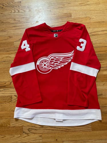 Detroit Red Wings Adidas Darren Helm jersey