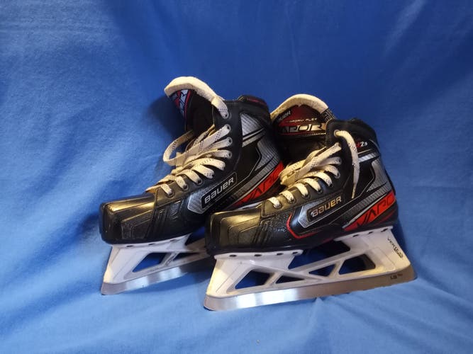 Senior Used Bauer Vapor X2.9 Hockey GOALIE Skates Regular Width Size 9.5