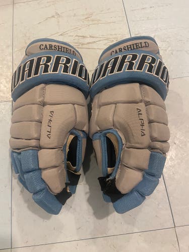 Used Warrior 14" Alpha Pro Gloves