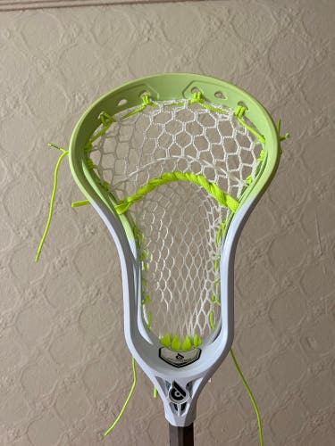 New Pioneer 2 Transition Head - Custom Dyed & Strung