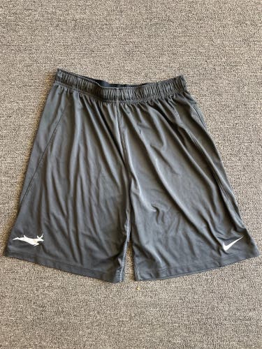 3 pairs of Nike GCU shorts