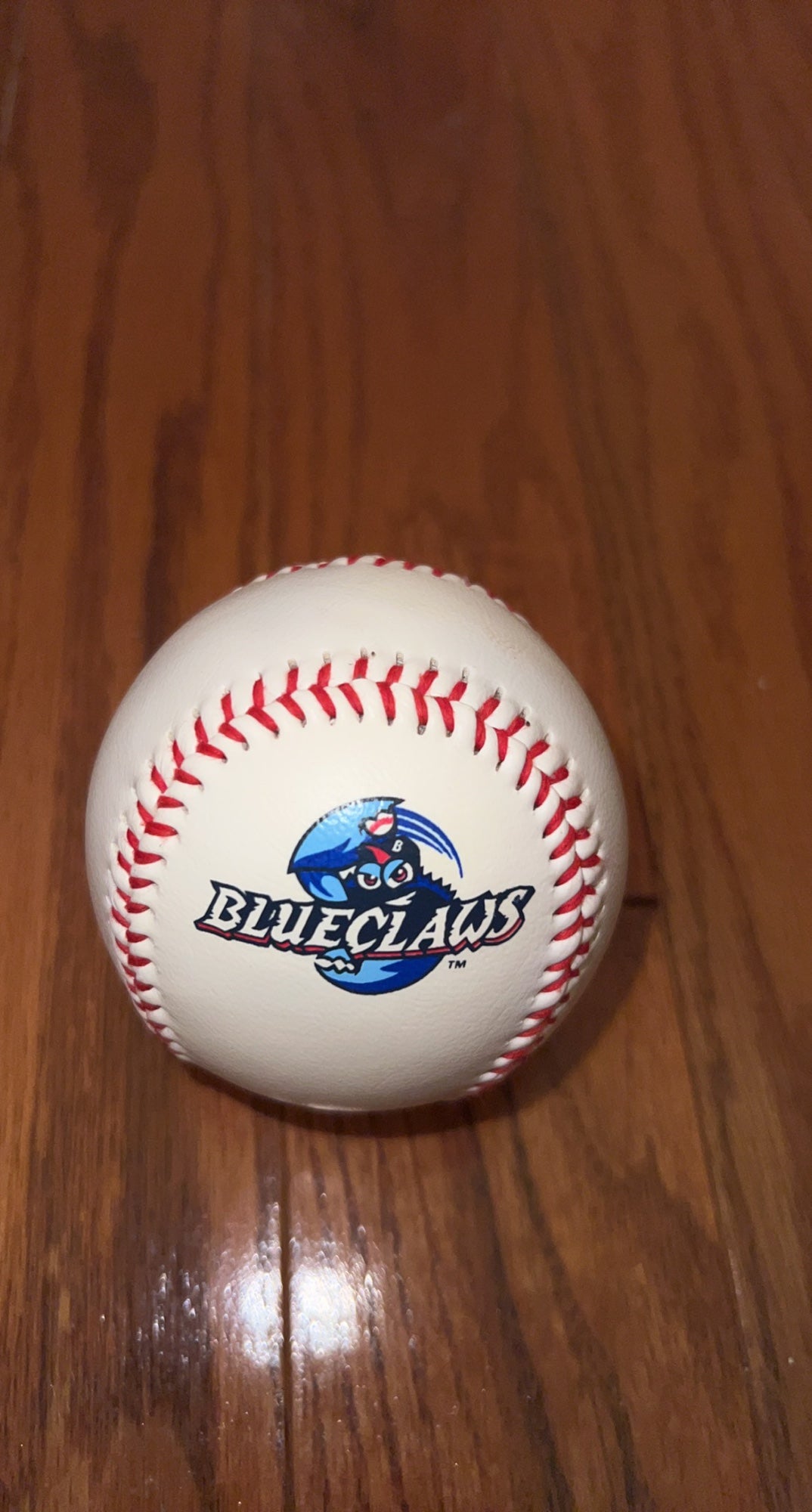 Jersey Shore BlueClaws baseball has something for everyone