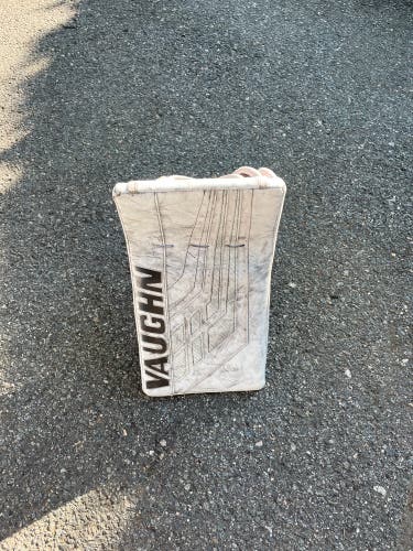 Used Regular  Velocity VE8