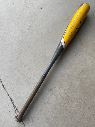 Hybrid (-10) 20 oz 30" Beast X Bat