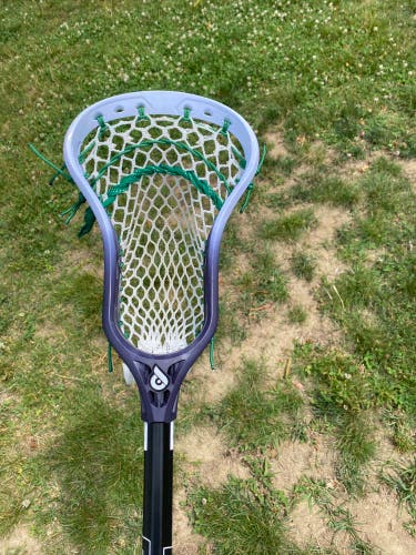 *BRAND NEW* Powell Pioneer 2 Transition Dyed And Strung