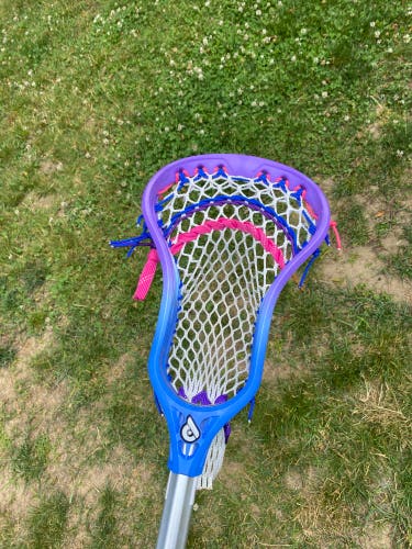 *BRAND NEW* Powell Pioneer 2 Transition Dyed And Strung