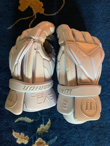 Barely Used Warrior Gloves