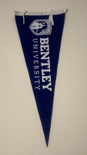 Bentley University Banner / Pennant