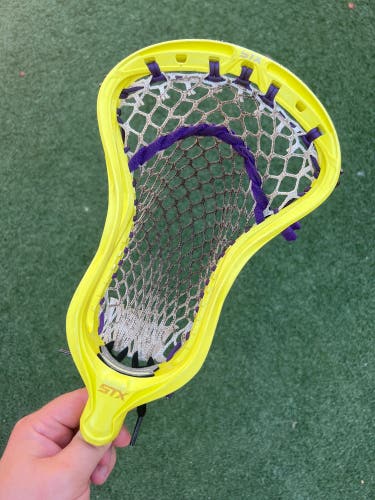 Dyed Stallion 900 — Used