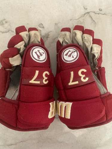 Warrior 13" Pro Stock Alpha Pro Gloves Used Denver