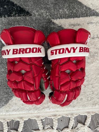 LN Stony Brook Brine Triumph 2