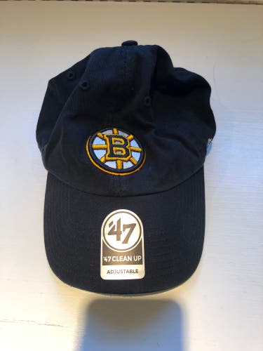 Boston Bruins hat