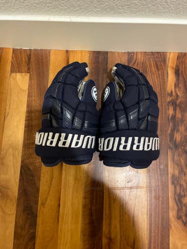 Used Warrior 13" Gloves