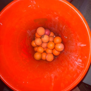 30 orange Lacrosse Balls