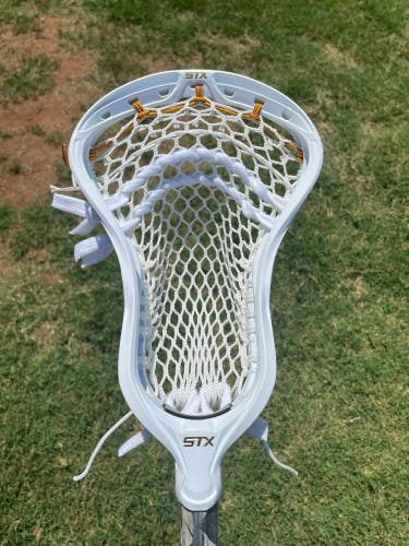 New STX Stallion 900 W/ ECD Hero 3.0