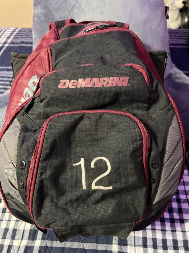 Used DeMarini Bat Bag
