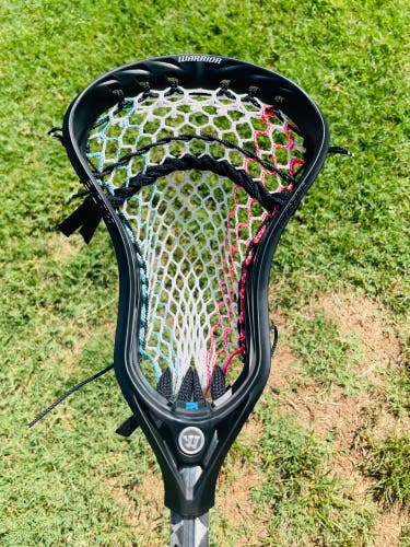 New Warrior Evo Qx-O W/ ECD South Beach
