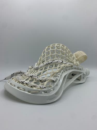 New Gait Torque Head