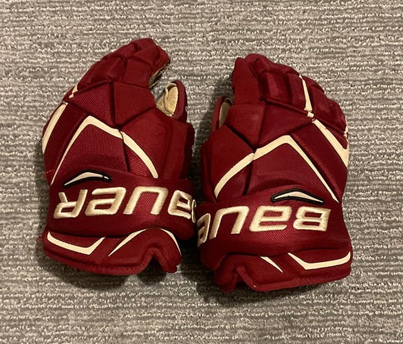 Bauer 14" Pro Stock Vapor 1X Pro Gloves