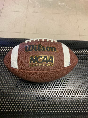 Adult Wilson Football