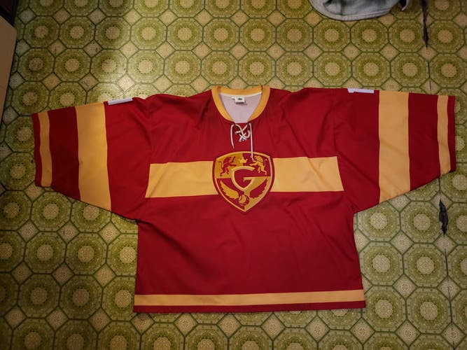 Harry Potter Inspired Goalie sized Jersey