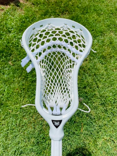 New ECD DNA W/ ECD Vortex Mesh