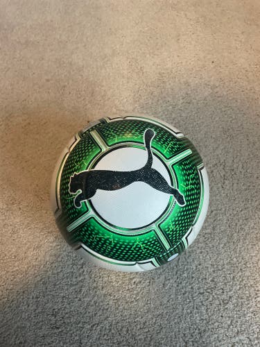Puma Evo Pwr Match ball