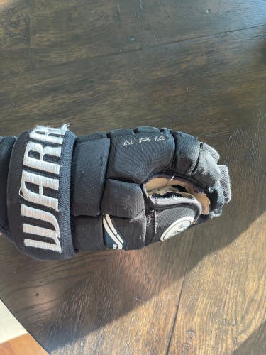 Used Warrior 13" Alpha Gloves